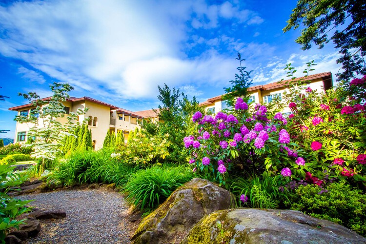 Outdoor garden path with purple and pink flowers