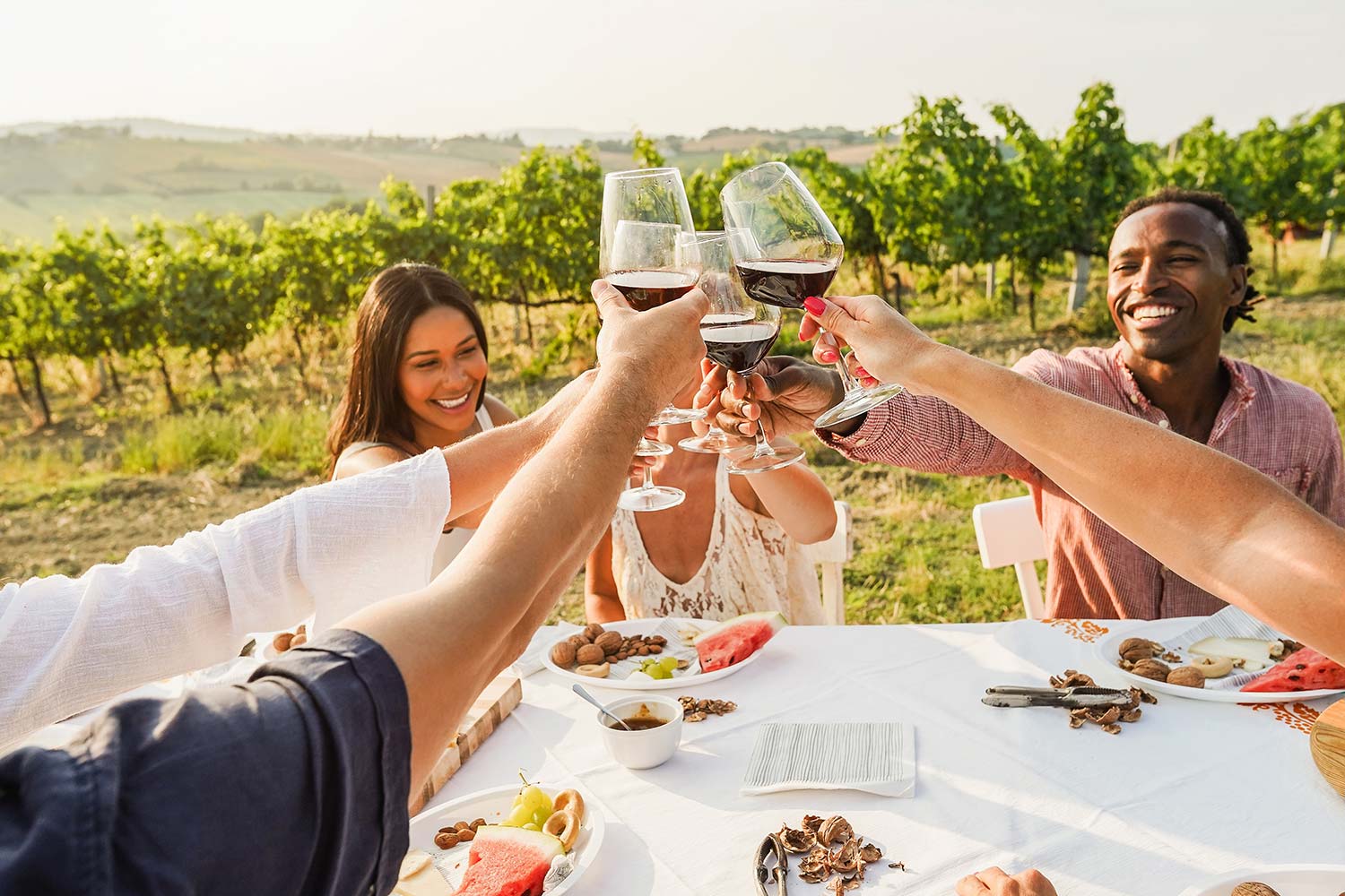 Friends at a table cheering wine glasses in a vineyard