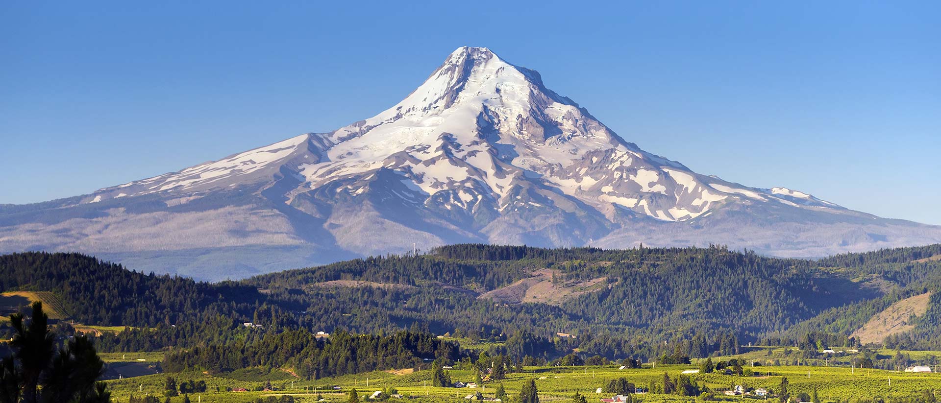 Hood River landscape with Mt Hood in the distance