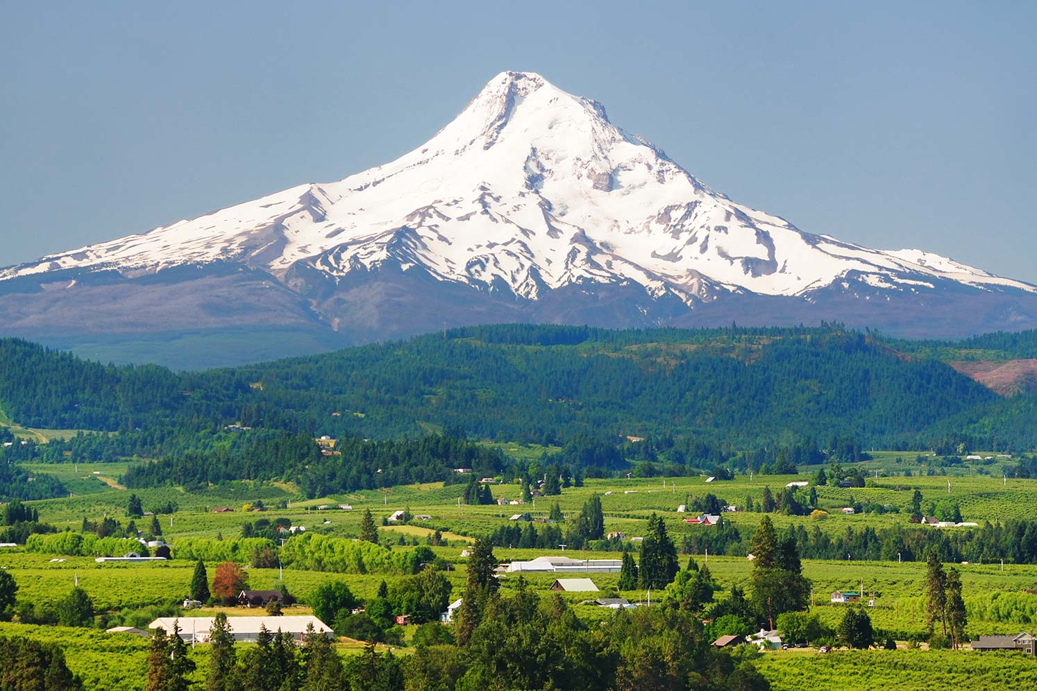 Landscape in Hood River with Mt Hood in the background